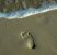 footprint