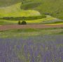 Permalink to Natura e ambiente