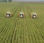Agricoltura e clima