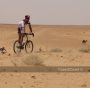 Permalink to eBike Tunisia