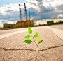 Ambiente Italia 2013, oltre la crisi c'è la green economy
