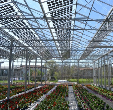 Permalink to Ethical energy farm: bellezza e sostenibilità nella serra fotovoltaica Torino smart city tra tecnologia e sicurezza