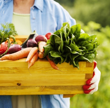 Permalink to 10 consigli dal WWF per un’alimentazione sostenibile 10 consigli dal WWF per un’alimentazione sostenibile