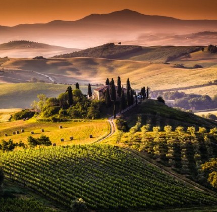 Permalink to Eco-cantine: bianco o rosso, basta che sia green! eco-cantine