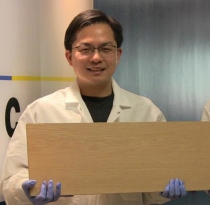 Dall’Università del Maryland il super legno forte come l’acciaio Dall'Università del Maryland il super legno forte come l’acciaio