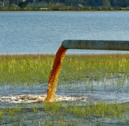 Permalink to Pesticidi nelle acque italiane: record negativo per il glifosate Pesticidi nelle acque