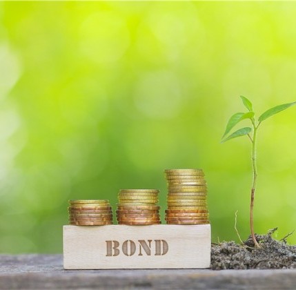 Green bond: c’è chi usa la carota e chi il bastone Green bond: c’è chi usa la carota e chi il bastone