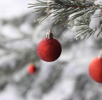 Permalink to L’albero di Natale è sostenibile? albero di Natale