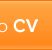 Inserisci il tuo CV