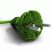 Apparecchi.green_ridimensionato