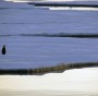 Un pinguino imperatore immobile su una lastra di ghiaccio galleggiante