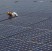 La Cina taglia gli incentivi a eolico e fotovoltaico