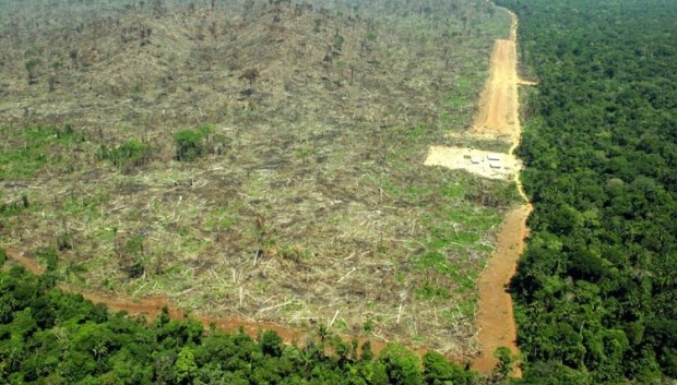 Deforestazione in Brasile al tasso di 140 campi da calcio ogni ora