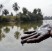 Inquinamento: Nigeria, l’Alta Corte di Londra lava le mani di Shell