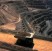 Australia fedele al carbone anche quando i costi sono proibitivi