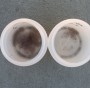 microplastiche nel Mediterraneo