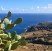 Dopo l’incendio, un nuovo cuore verde per Pantelleria