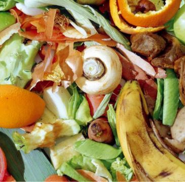 Rinnovabili • Biometano da forsu