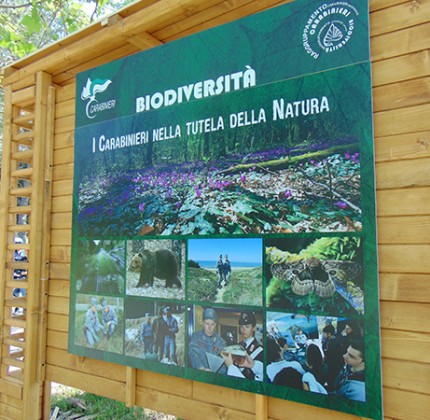 Giornata della Terra