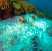 Barriere coralline: operativa la cordata internazionale per salvarle