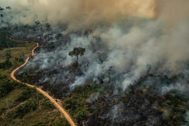 incendi in Amazzonia