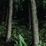 Visuel-TREE-HUG