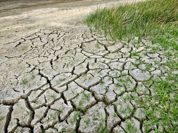 cambiamenti climatici suolo