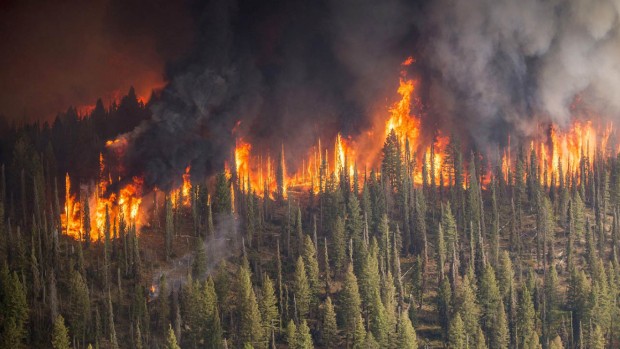 Rinnovabili • incendi siberia
