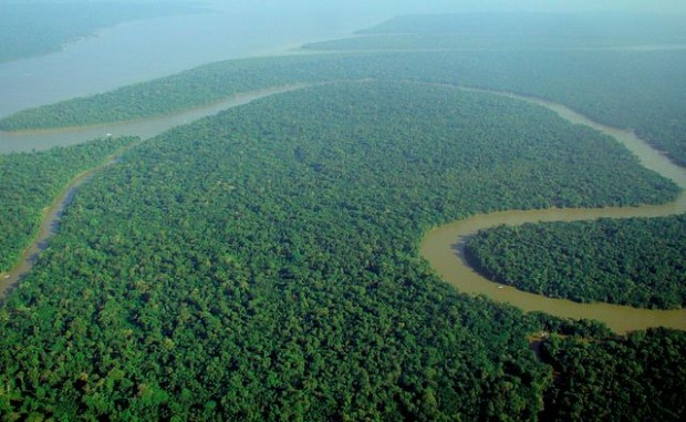 deforestazione amazzonica