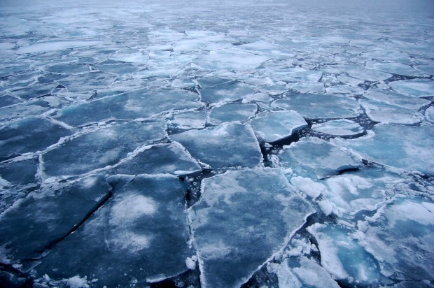 ghiacci mare artico