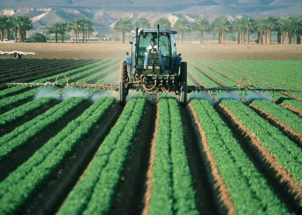 settore agricolo sussidi