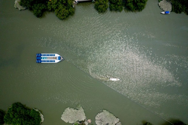 rifiuti in mare