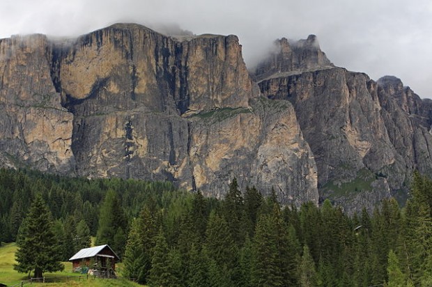 gestione forestale sostenibile