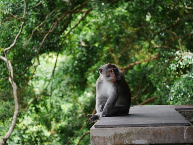 Indonesia