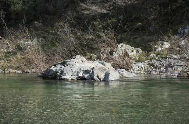 danno ambientale