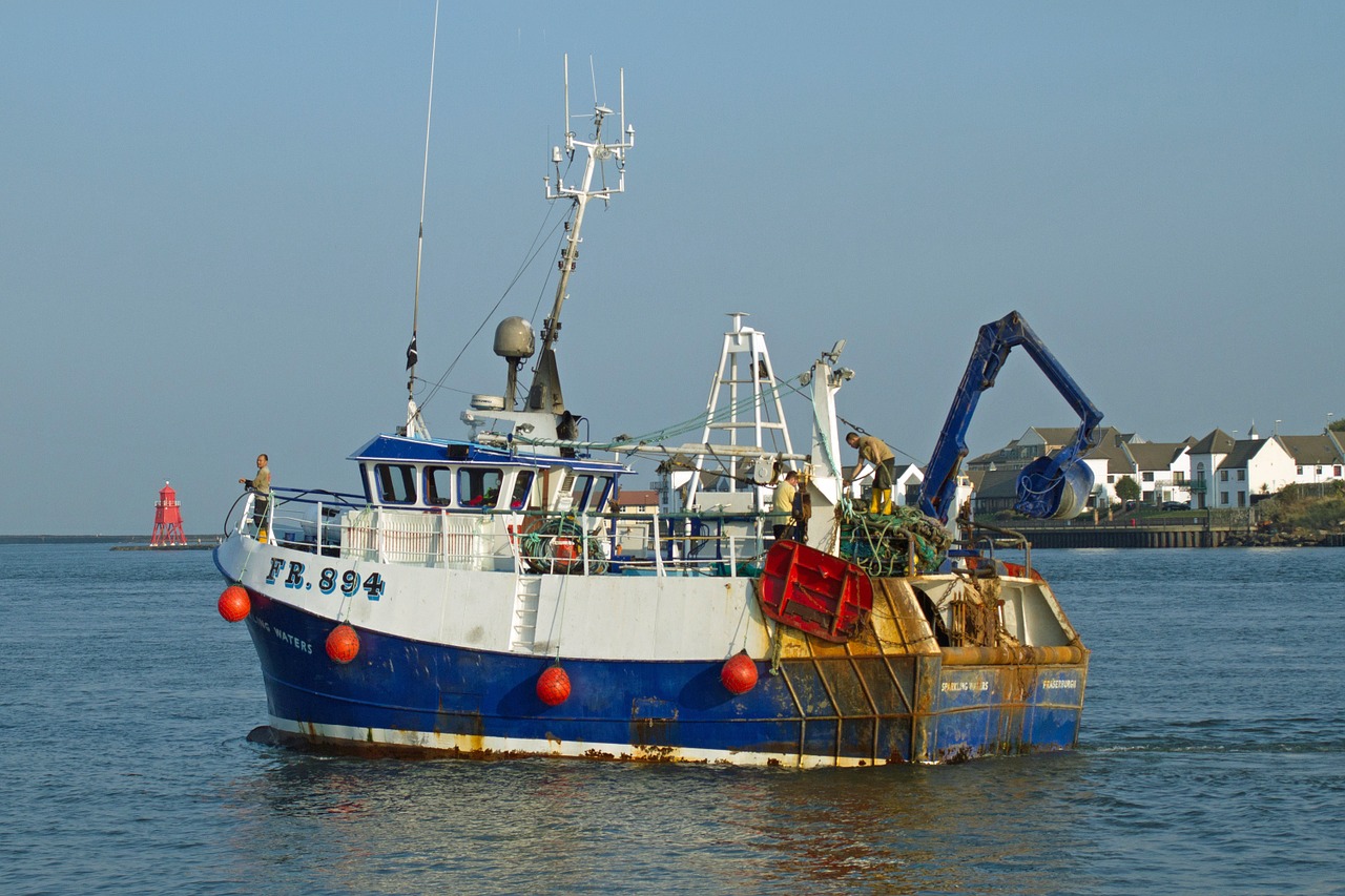 Pesca sostenibili