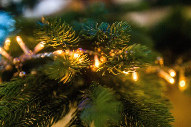 alberi di natale