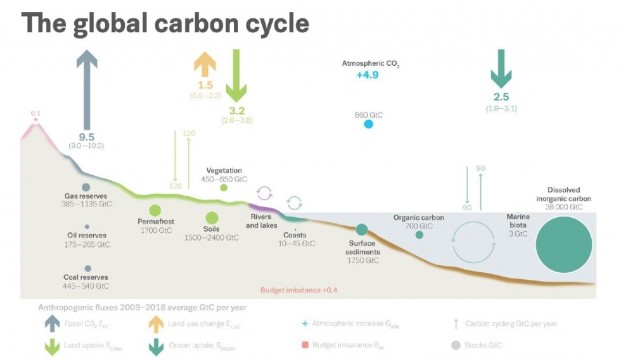 Bilancio del carbonio