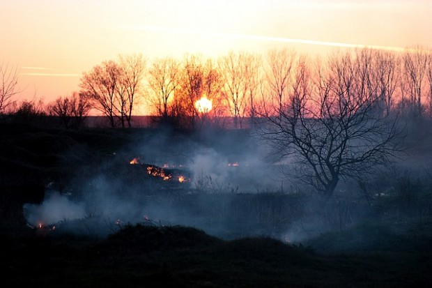 Rinnovabili • Incendi in Australia