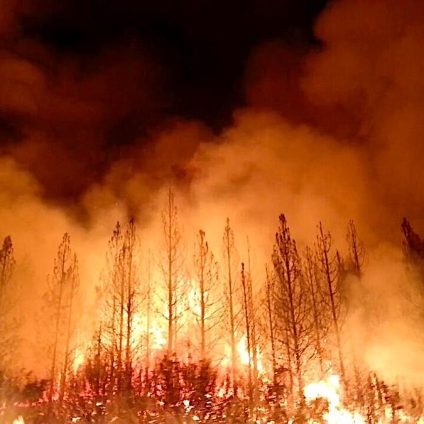 Rinnovabili • incendi boschivi