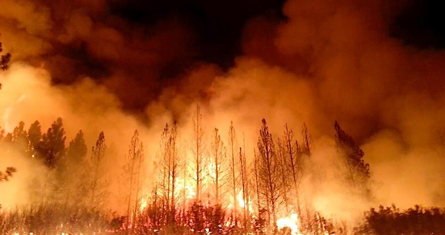 Rinnovabili • incendi boschivi