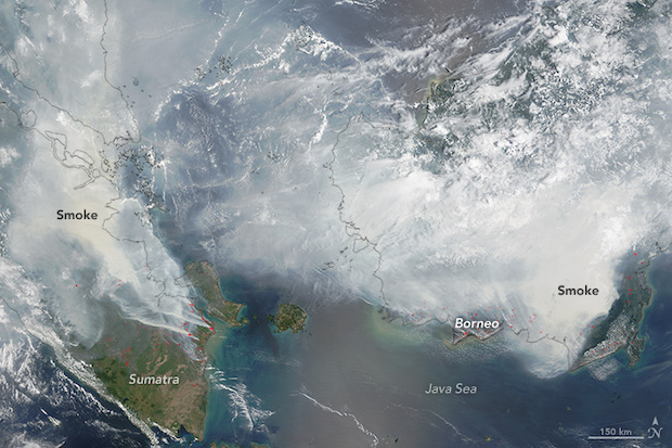 Incendi in Indonesia