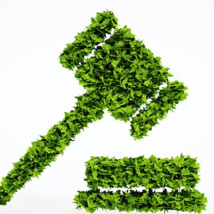 Rinnovabili • EPA