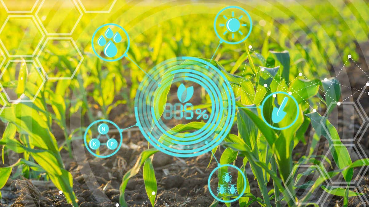 Agricoltura digitale