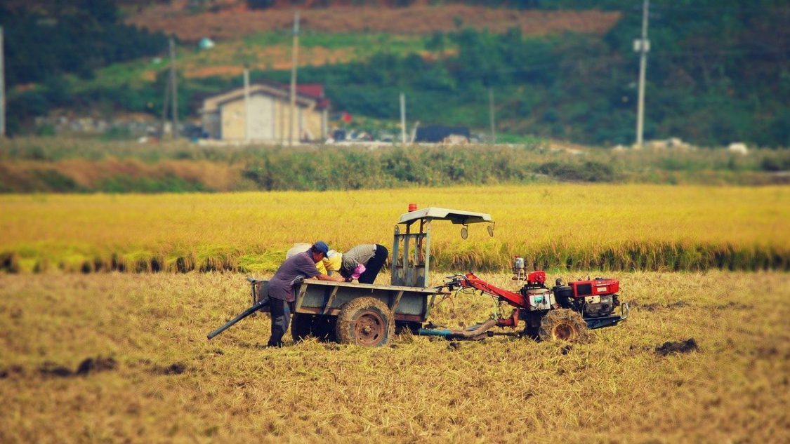 Lavoratori agricoli