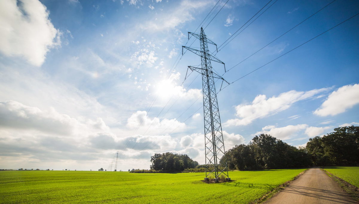 elettricità 2020