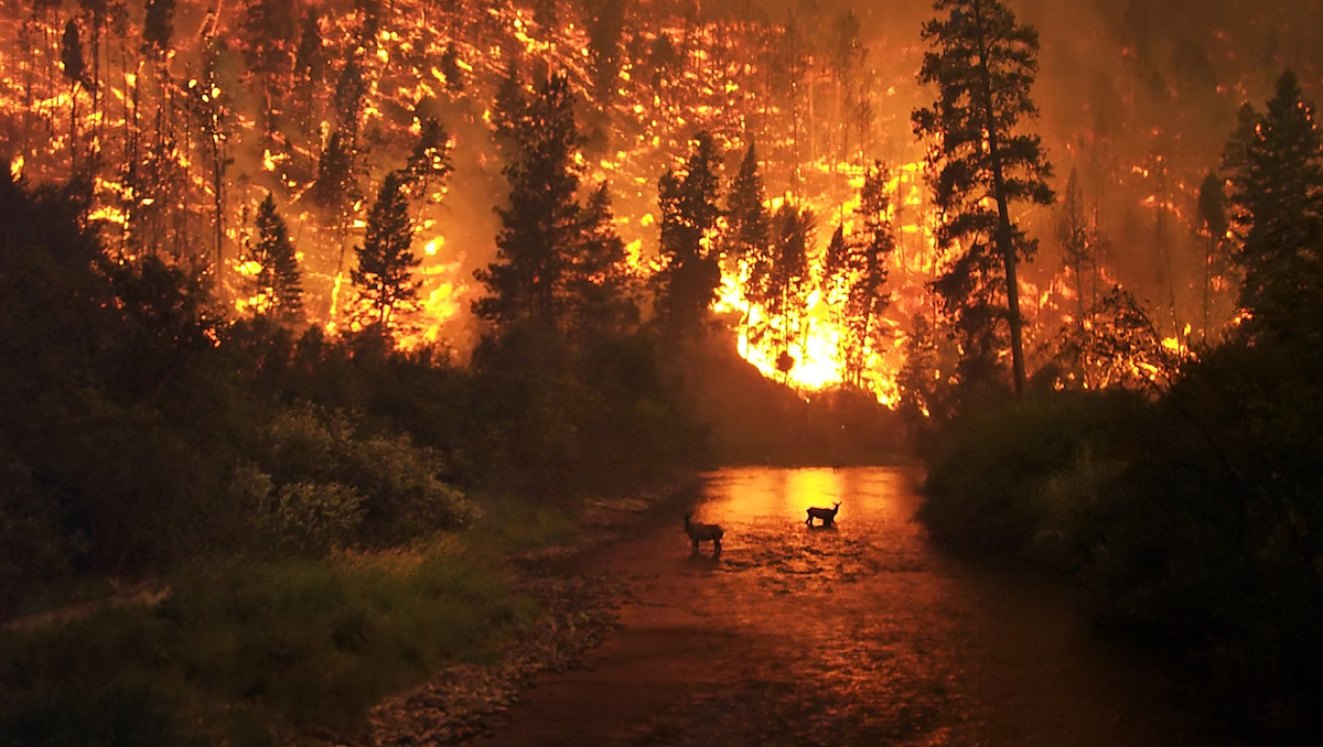 stagione degli incendi