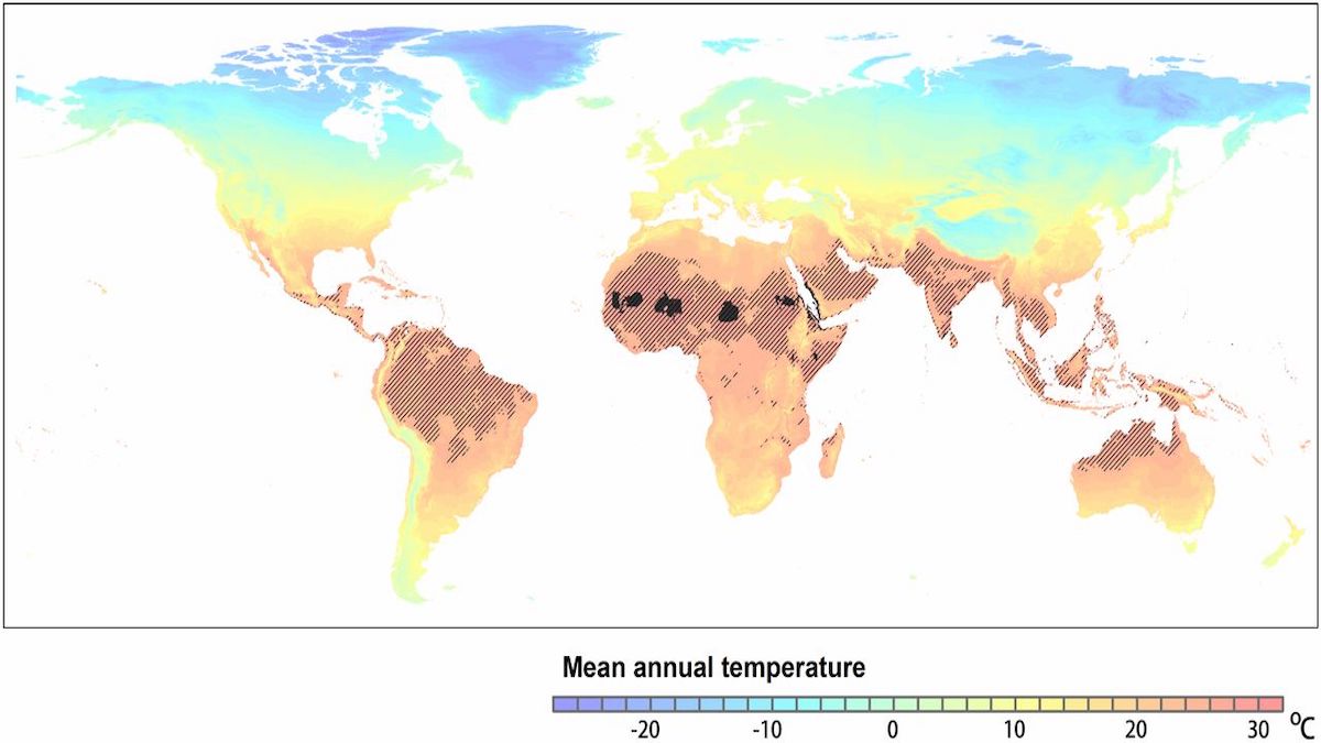 surriscaldamento globale