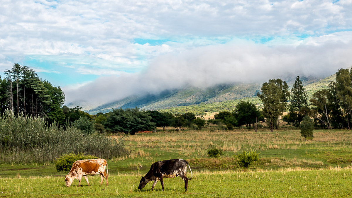 politiche agricole