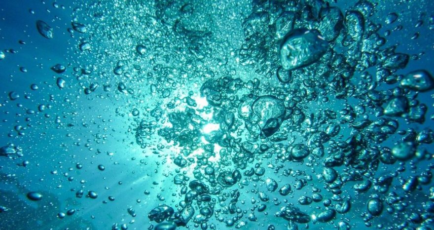 Rinnovabili • Inquinamento da microplastica